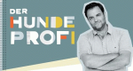 Der Hundeprofi – Bild: MG RTL D Der Hundeprofi – Bild: MG RTL D
