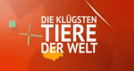 Die klügsten Tiere der Welt – Bild: BBC Die klügsten Tiere der Welt – Bild: BBC