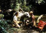 Das Dinosaurierbaby - Geheimnis einer verlorenen Legende – Bild: RTL Das Dinosaurierbaby - Geheimnis einer verlorenen Legende – Bild: RTL