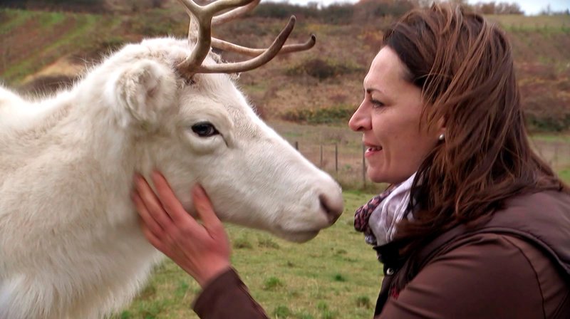 Wir besuchen das Rentier Marie und Farmerin Sonja Persch-Jost. – Bild: SWR/​Kimmig