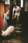 Magere Zeiten - Der Film mit dem Schwein – Bild: arte Magere Zeiten - Der Film mit dem Schwein – Bild: arte