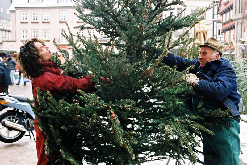 Marie (Natalie Wörner, l.) holt den von ihrer Tochter Lena bestellten Weihnachtsbaum vom Markt ab. Doch mit diesen Dimensionen hat sie nicht gerechnet. – Bild: Puls 8