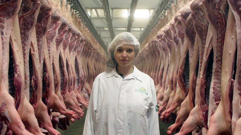 Das erste Mal im Schlachthof – Hannah erlebt die Fleischindustrie. – Bild: ORF