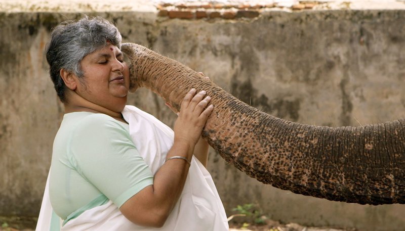 Prinzessin Lakshmi Bayi bei ihrem morgendlichen Ritual. – Bild: ZDF und SWR/​Marcus Winterbauer