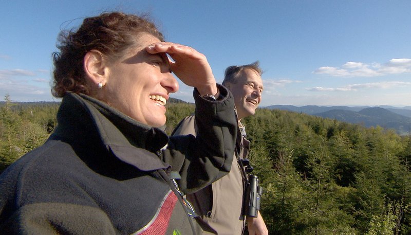 Durch die Sendung führen zwei Naturexperten, die sich tagtäglich mit Herz und Seele für unsere Wälder und den Naturschutz einsetzen: aus dem Pfälzer Wald Ulrike Abel, Forstwirtin und stellvertretende Forstamtsleiterin in Kaiserslautern, und aus dem Südschwarzwald Achim Laber, der Feldberg-Ranger, seit 25 Jahren Naturschutzwart am Feldberg. Gemeinsam sind sie im brandneuen Nationalpark Schwarzwald unterwegs. – Bild: SWR
