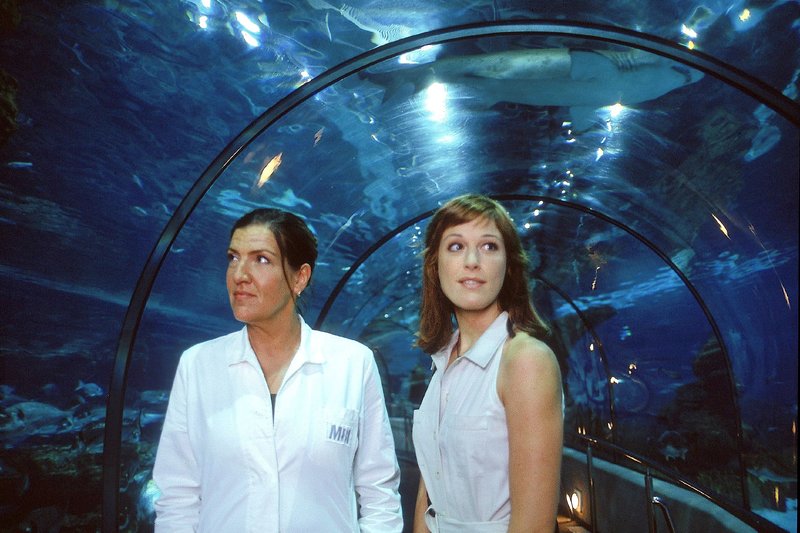 Hai-Alarm auf Mallorca – Bild: SUPER RTL