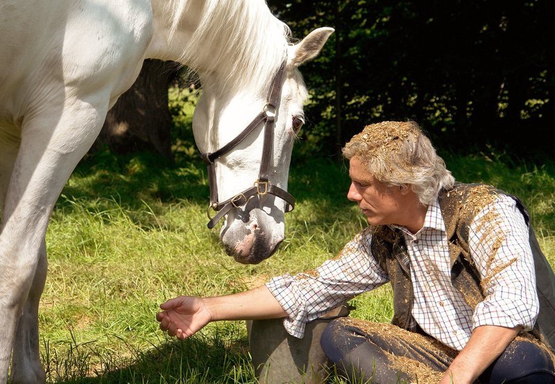 Instinktiv fassen Pferde Vertrauen zu Eric (Philipp Brenninkmeyer). – Bild: ARD Degeto/​Jon Ailes