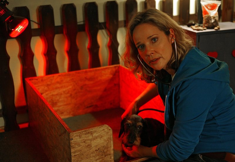 Mein Nachbar, sein Dackel und ich – Bild: Credit: ARD Degeto/​Erika Hauri, Source: DEGETO FILM,