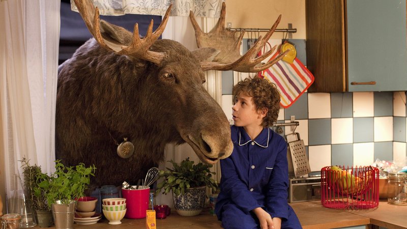 Der gestrandete Elch Moos steckt seinen Kopf durch das Küchenfenster, um mit Max (Dennis Reinsma) plaudern zu können. – Bild: KiKA/2013 Lemming Film BV, AB Svensk Filmindustri, Davaj Film, Filmpool Nord, Anchorage Entertainment/Victor Arnolds Der gestrandete Elch Moos steckt seinen Kopf durch das Küchenfenster, um mit Max (Dennis Reinsma) plaudern zu können. – Bild: KiKA/2013 Lemming Film BV, AB Svensk Filmindustri, Davaj Film, Filmpool Nord, Anchorage Entertainment/Victor Arnolds