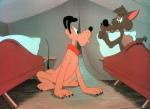 Disneys Kojoten wie wir – Bild: Super RTL Disneys Kojoten wie wir – Bild: Super RTL