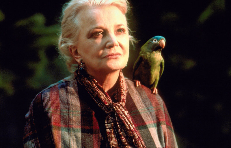 Paulie - Ein Plappermaul macht seinen Weg – Bild: ORF