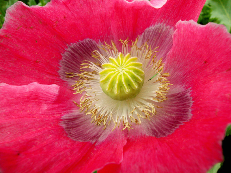 Waldviertel - Vom Zauber des rauen Landes – Bild: ORF