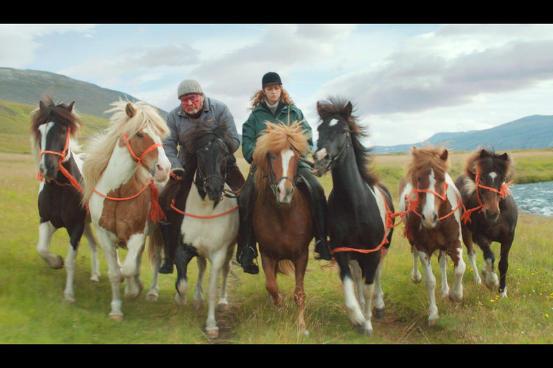 Von Menschen und Pferden – Bild: ZDF /​ © Hrossabrestur ehf.