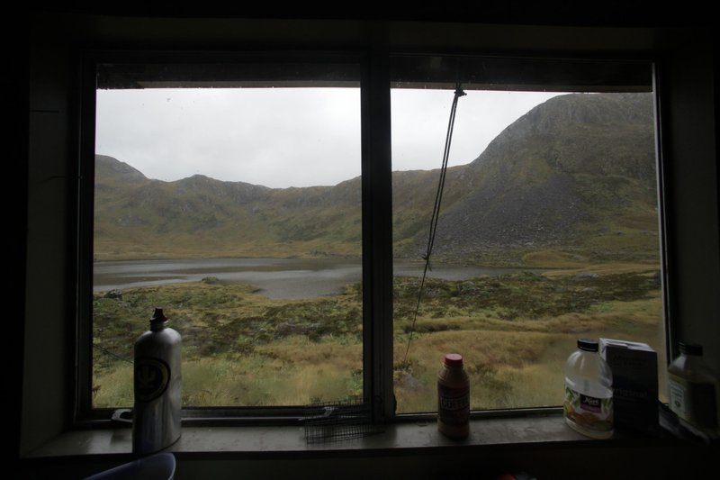 Superhirn im Federkleid – Bild: BR/​Text + Bild Medienproduktion GmbH & Co.KG/​Angelika Sigl