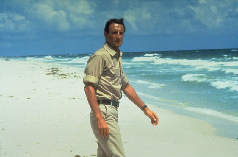 Polizeichef Brody (Roy Scheider) ist sich sicher: Der weiße Hai ist irgendwo da draußen. – Bild: OTCM Polizeichef Brody (Roy Scheider) ist sich sicher: Der weiße Hai ist irgendwo da draußen. – Bild: OTCM