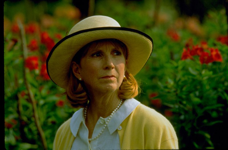 Gorillas im Nebel – Bild: ZDF und Murray Close