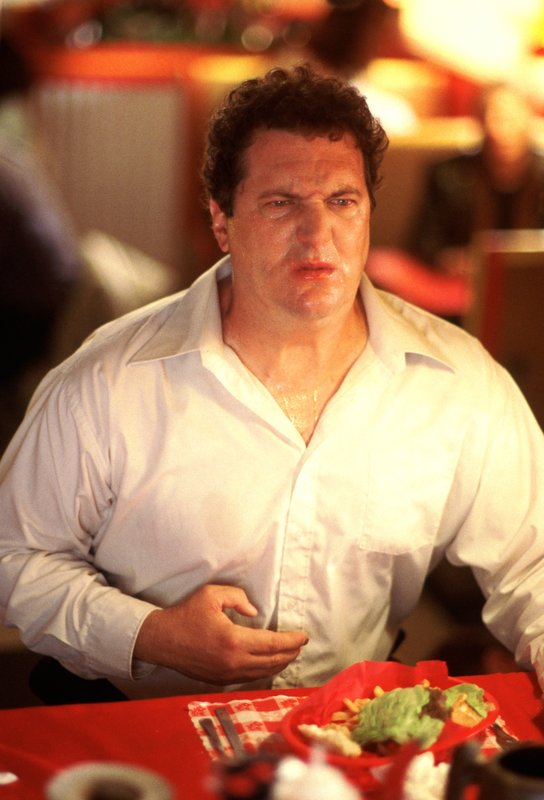 Dumm und Dümmer – Bild: ZDF und Tele München Gruppe (TMG)