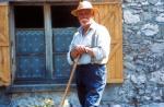 Eine Schwalbe macht den Sommer – Bild: BR Fernsehen Eine Schwalbe macht den Sommer – Bild: BR Fernsehen