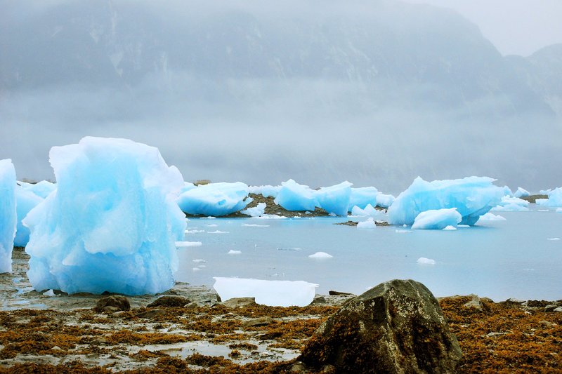 In der Glacier Bay liegt bei Ebbe abgebrochenes Gletschereis am Ufer. – Bild: ZDF 