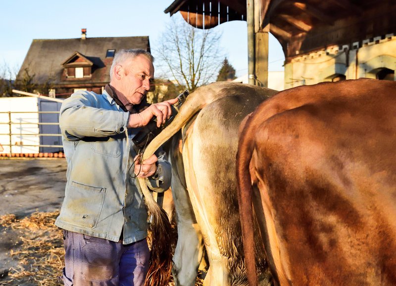 Bodenlos Vom Leben und Überleben der Schweizer Bauern – Bild: SRF1
