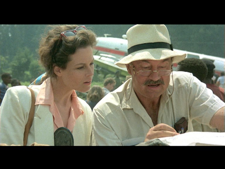 Gorillas im Nebel – Bild: RTL Zwei