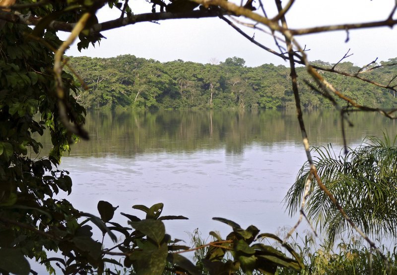 Der Dzangha-Fluss in der Republik Zentralafrika. – Bild: NDR/​NDR/​NDR Naturfilm/​Christina Karliczek