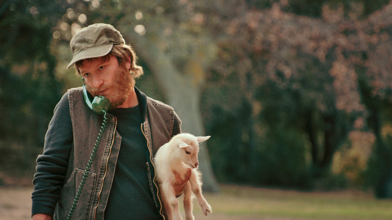 Popstar: Never Stop Never Stopping – Bild: Puls 4