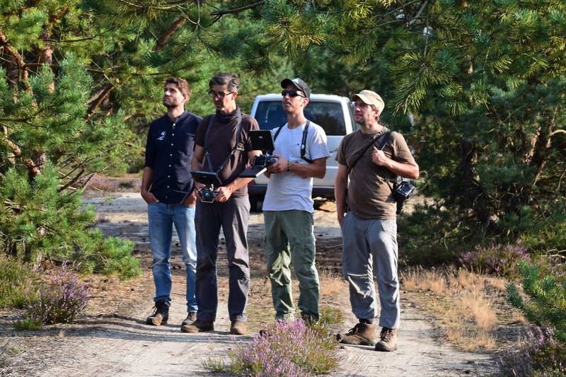 Neue Wildnis in Deutschland – Bild: ZDF und Axel Gomille.