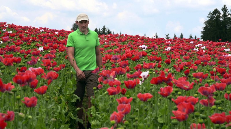 Im Herzen Österreichs – Bild: NDR