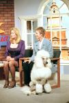 Best in Show – Bild: ORF Best in Show – Bild: ORF