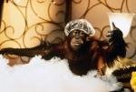 Dunston - Allein im Hotel – Bild: Super RTL