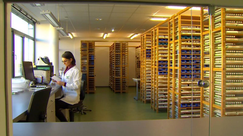 „Homöopathie – Nutzen oder Scharlatanerie?“, Millionen Menschen schwören auf Globuli: allerdings wurde ihre Wirkung wissenschaftlich nie erwiesen. Die höheren Potenzierungen – gerade die angeblich wirkungsvollsten – entsprechen der Wirkung eines Tropfens in allen Weltmeeren – also mit Logik kaum nachzuvollziehen. Es geht um einen Millardenmarkt, denn die Traubenzuckerkügelchen sind nicht unbedingt preiswert. ORFIII-Gestalterin Gundi Lamprecht stellt Für und Wider einander gegenüber.  SENDUNG: ORF3 – MO – 27.01.2020⁠–⁠22:45 UHR. – Veroeffentlichung fuer Pressezwecke honorarfrei ausschliesslich im Zusammenhang mit oben genannter Sendung oder Veranstaltung des ORF bei Urhebernennung. – Bild: ORF