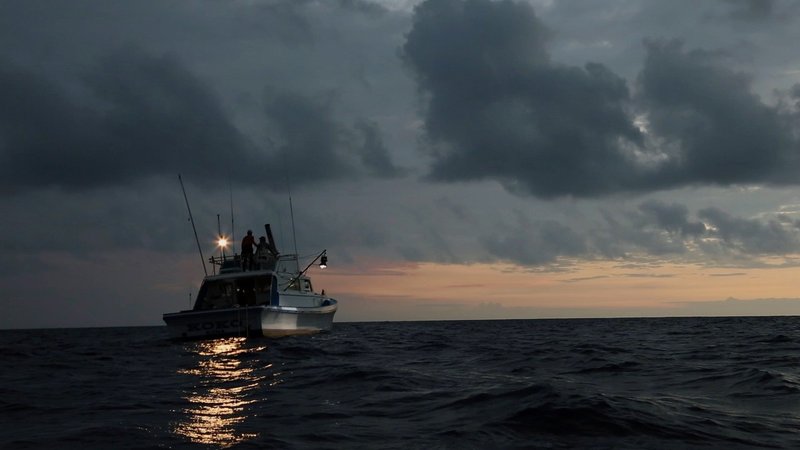 Wenn es Nacht wird im Ozean - Wesen der Tiefe – Bild: GEO Television