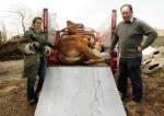 Unser täglich Fleisch – Bild: arte