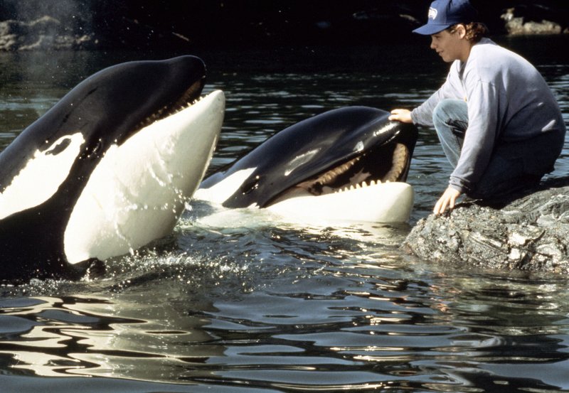 Free Willy II - Freiheit in Gefahr – Bild: BR/​Tele© BR/​Telepool – honorarfrei