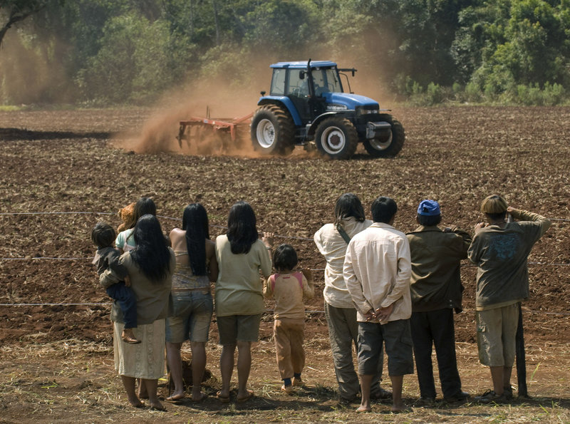 Birdwatchers - Das Land der roten Menschen – Bild: ARD Degeto/​Gullane Filmes Prod./​Marie Hippenmeyer