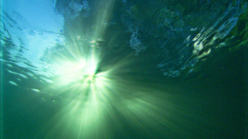 Wörthersee - Bühne für Tier und Mensch – Bild: 3sat