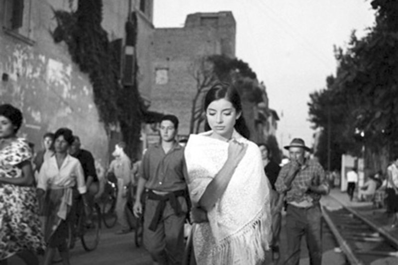 Wilder Sommer – Bild: ARTE France /​ © Les Films du Camélia