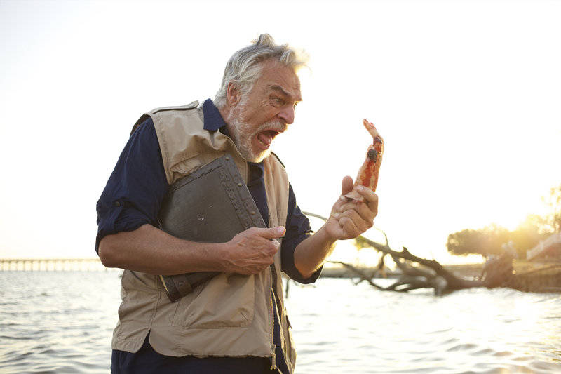 Ghost Shark – Bild: SIMS