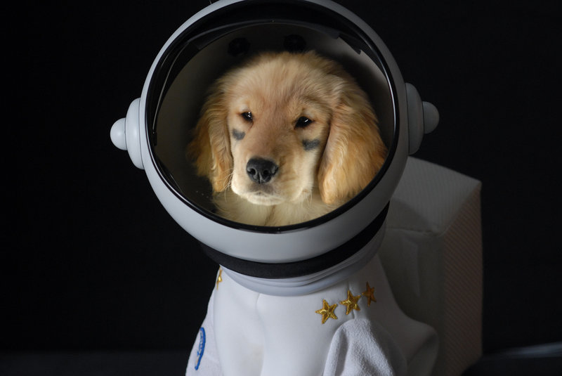 Space Buddies - Mission im Weltraum – Bild: Disney Channel