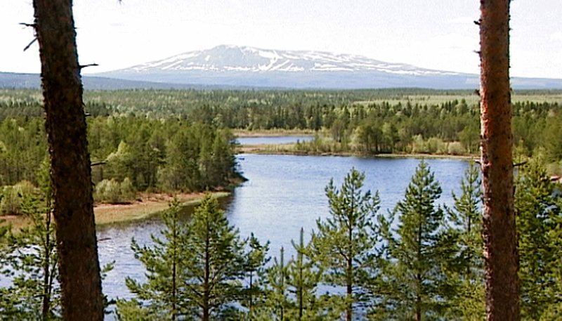 hr-fernsehen NATURPARADIES SKANDINAVIEN, Ein Film von Werner Czarnecki, am Freitag (24.04.15) um 21:00 Uhr.
Landschaft in Skandinavien. – Bild: HR