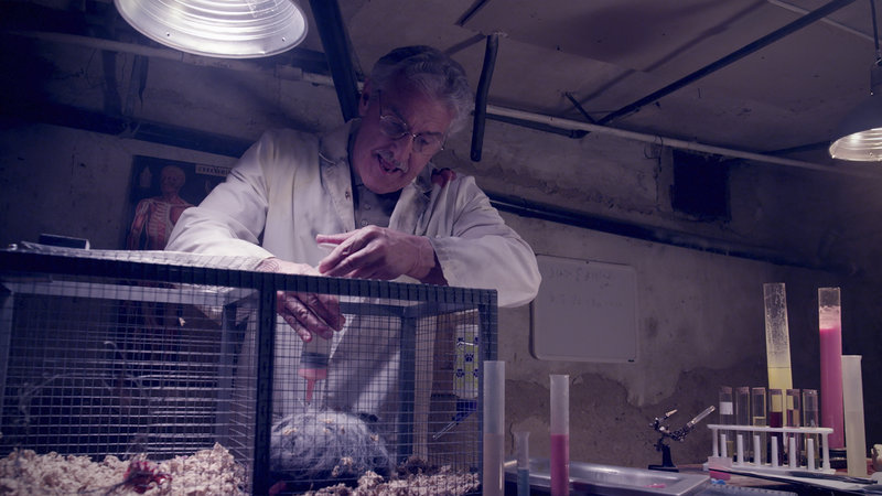 Attack of the Killer Donuts – Bild: RRS