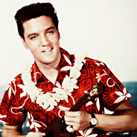 Blaues Hawaii – Bild: 2003 Getty Images