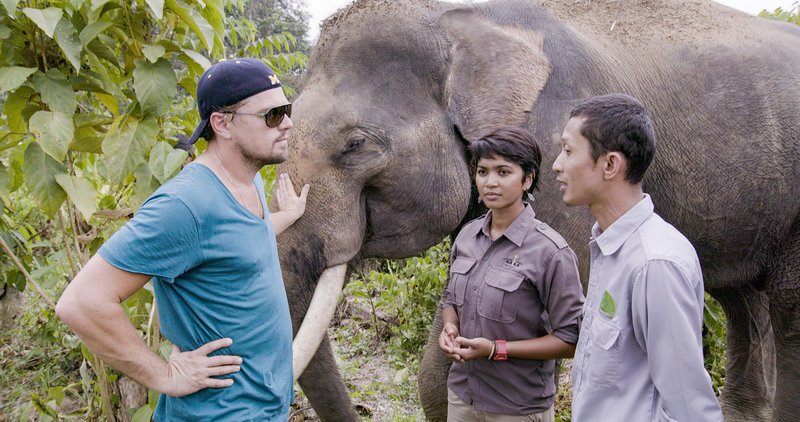 Leonardo DiCaprio spricht mit Farwiza Farhan über die Abholzung des indonesischen Regenwalds. – Bild: ORF
