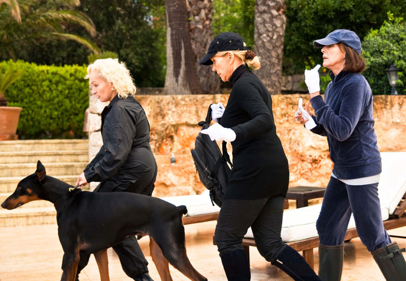 Das Glück ist ein Kaktus – Bild: One