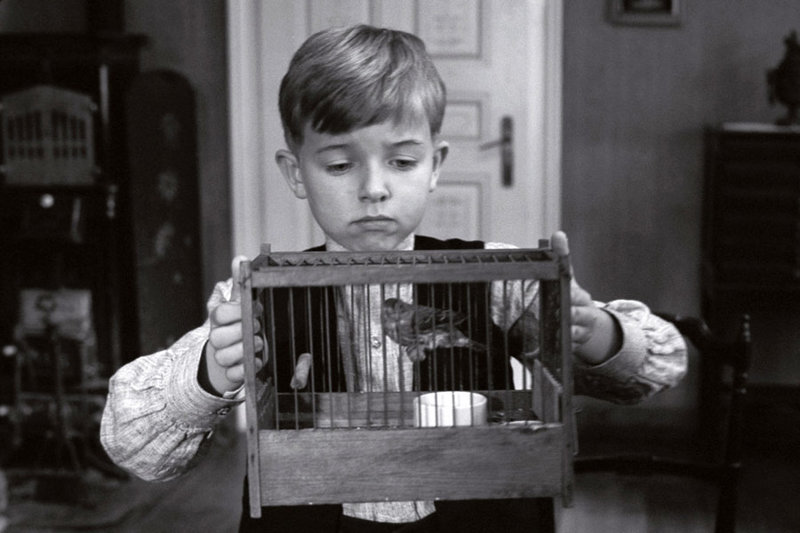 Das weiße Band – Bild: SWR