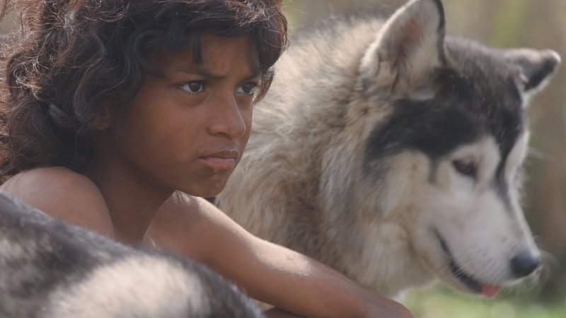 Spielszene: Mogli (Shivam Lohar), der unter Wölfen aufwächst. – Bild: ZDF und Jens Monath Spielszene: Mogli (Shivam Lohar), der unter Wölfen aufwächst. – Bild: ZDF und Jens Monath