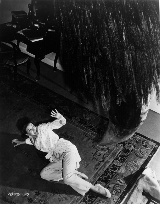 Tarantula – Bild: ZDF und George Robin