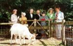 Willi und die Windzors – Bild: 3sat Willi und die Windzors – Bild: 3sat