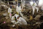 The Path to 9/11 - Wege des Terrors – Bild: ORF The Path to 9/11 - Wege des Terrors – Bild: ORF